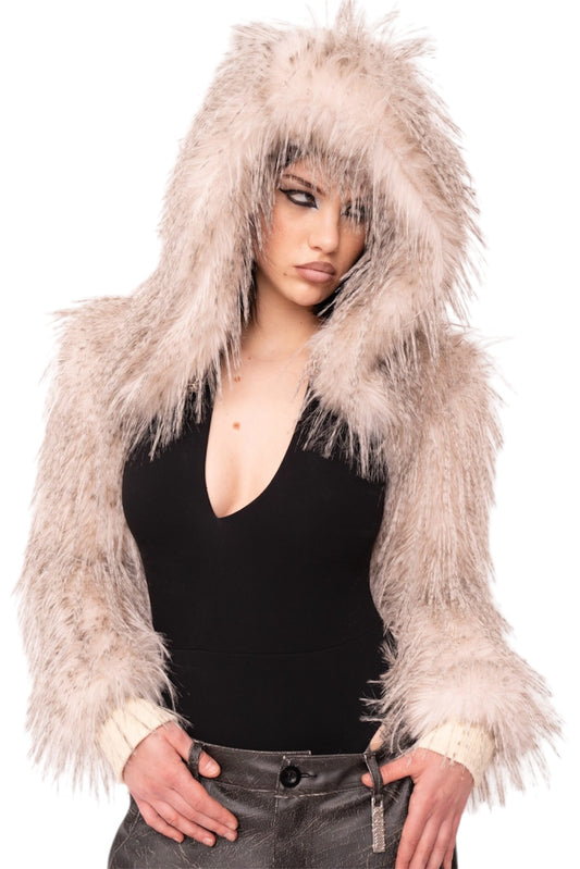 Covered In Chrome Hood